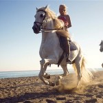 Horseriding perfect nanny