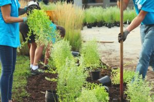 Gardening