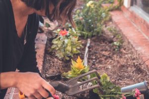 Gardener