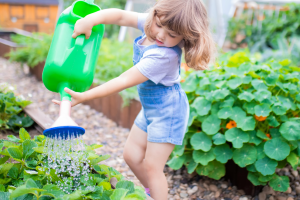 Gardening