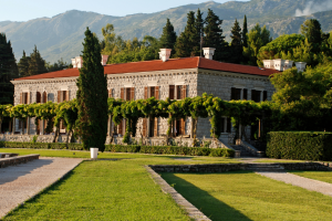 house with trees