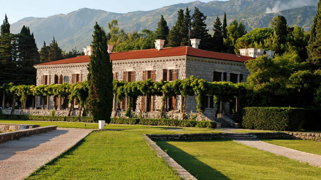 house with trees