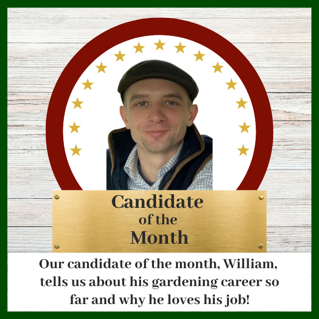 candidate will